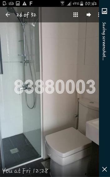 Silverscape (D14), Apartment #169139312
